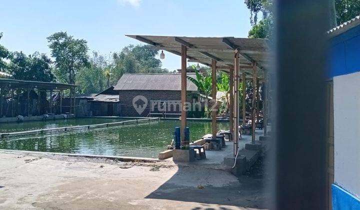 Dijual Tanah & Kolam Pemancingan Di Daerah Palnunjuk, Kab.samarang Garut 1