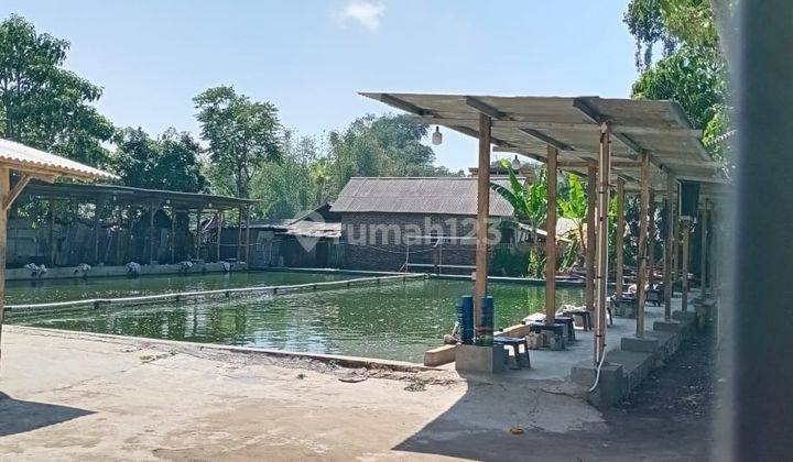 Dijual Tanah & Kolam Pemancingan Di Daerah Palnunjuk, Kab.samarang Garut 2