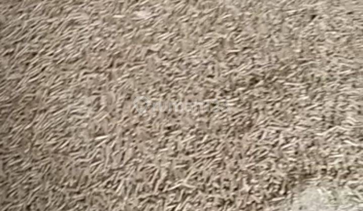 Dijual Pabrik Aktif Wood Pellet Area Probolinggo 2