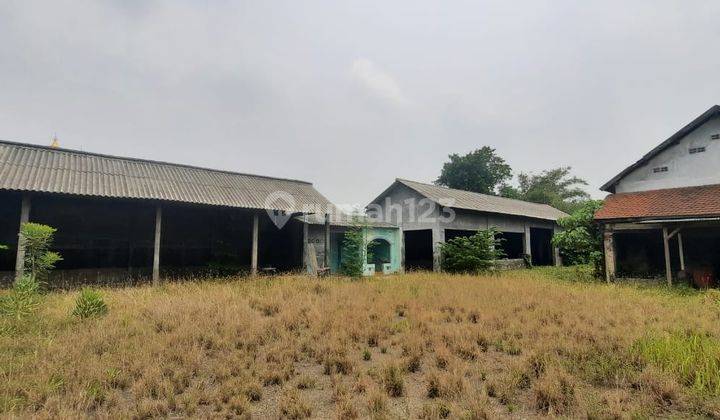 Gs. Disewakan Murah Lahan Ada Bangunan Raya Peterongan Jombang 1
