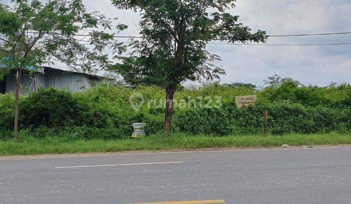 Gs. Dijual Tanah Kec. Widang Tuban 3