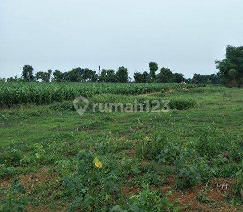 Gs. Dijual Tanah Industri Raya Bypass Gempol Pasuruan Dekat Exit Tol Gempol 1