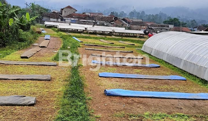 Tanah di Tenjolaya Pasir Jambu Bandung Luas Tanah 6474m²