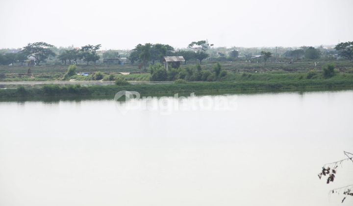 For quick sale: active 8-hectare fishpond in Golokan Village, Sedayu, Gresik.