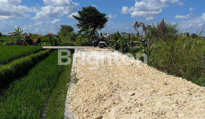 Tanah Cocok Untuk Hunian Atau Villa Dekat Pantai Seseh 2