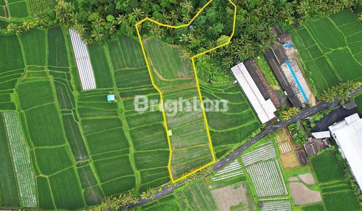 Tanah View Sawah Desa Penebel Dekat Jatiluwih Tabanan Bali 1