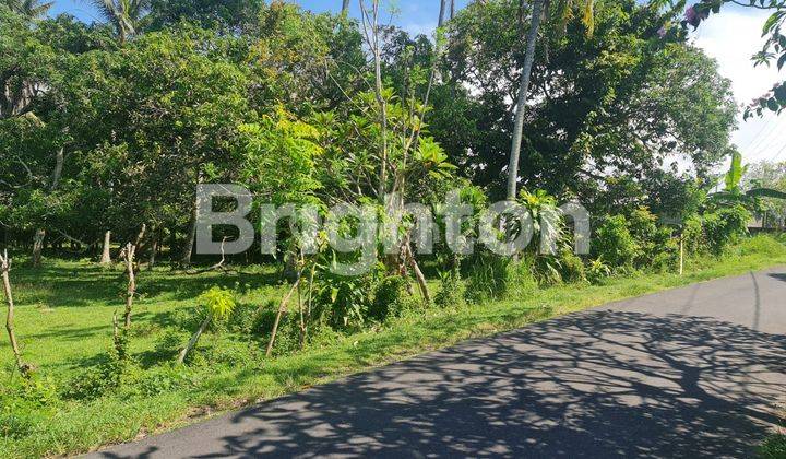 TANAH DEKAT PANTAI SOKA TABANAN 2