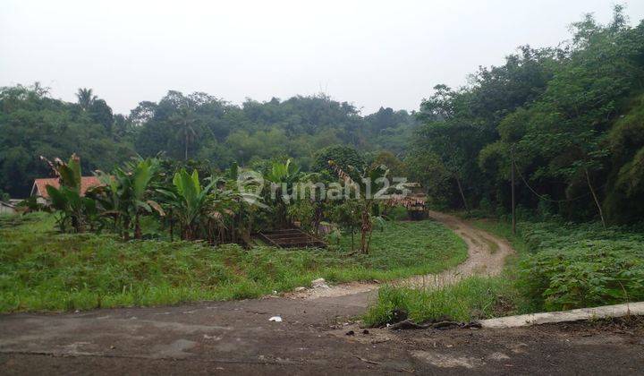 Tanah Murah Area Kantor Balai Desa Benteng Ciampea SHM  1