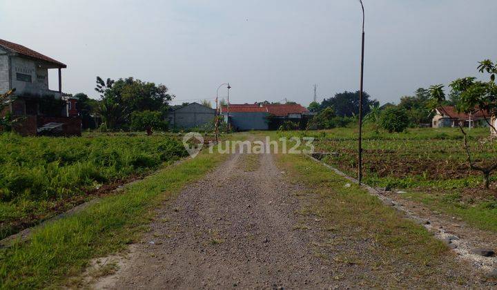 Termurah Tanah Area Kampus Ipb Dramaga SHM Profit Untung 2