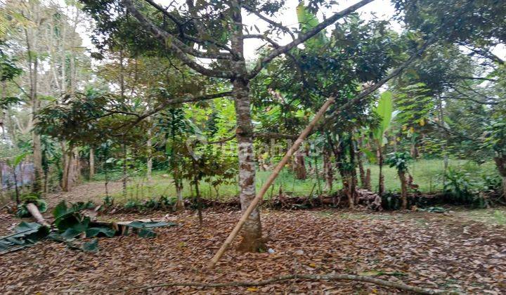 Kavling Villa Area Wisata Gunung Pangrango 1