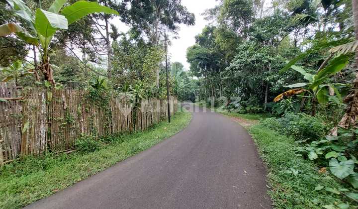 Kavling Villa Area Wisata Gunung Pangrango 5
