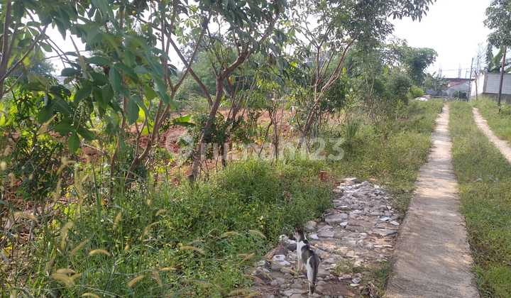10 Menit Universitas Pamulang, Kavling Daerah Bojongsari Depok 4