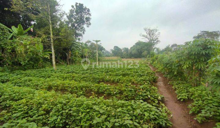 Tanah Murah Area Wisata Gunung Salak Free SHM 2