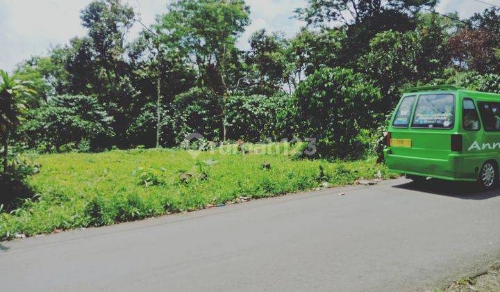 Tanah Murah Area Wisata Gunung Salak Free SHM 4