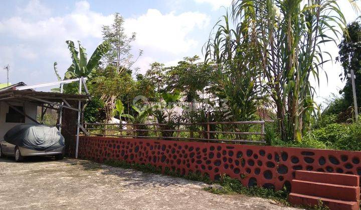 Harga 1 Jt An Tanah Kavling Area Perumahan Ciomas Bogor 5
