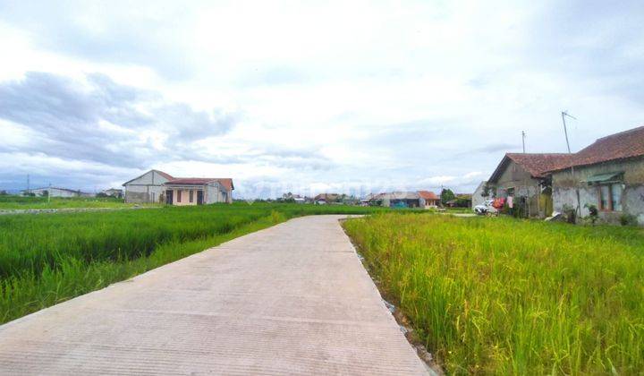 Tanah Investasi Di Lingkar Laladon, Harga Spesial Launching 2