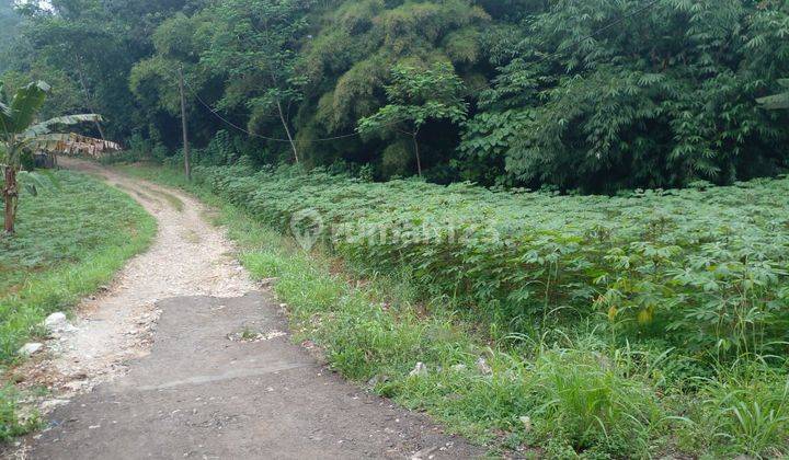 Tanah Murah Area Kantor Balai Desa Benteng Ciampea SHM  2