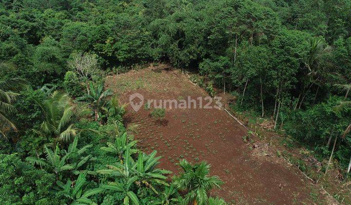 Tanah Daerah Kantor Desa Gobang Terima Lahan Siap Bangun 2