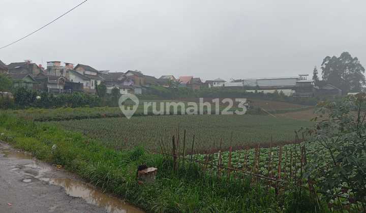 DIJUAL TANAH DI BABAKAN SALAM PANGALENGAN KABUPATEN BANDUNG KAWASAN BEBAS BANJIR DAN KONTUR TANAH NYA RATA DIJUAL TANAH DI BABAKAN SALAM PANGALENGAN KABUPATEN BANDUNG KAWASAN BEBAS BANJIR DAN KONTUR TANAH NYA RATA