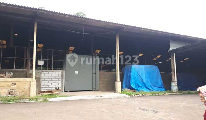 Tanah Murah Dibawah NJOP Daerah Sukabumi Tanah Murah Dibawah NJOP Daerah Sukabumi