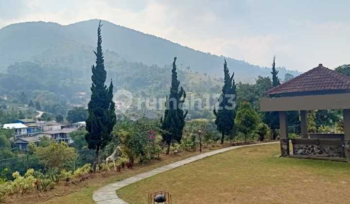 VILLA VIEW GUNUNG DI SAMPING LEMBAH KOLAM RENANG TANAH SUPER LUAS DAN TERAWAT LOKASI SUPER STRATEGIS DEKAT TAMAN BUNGA, GOA MARIA, DAN AREA MAKANAN Rumah SHM Bagus tersedia gazeb puncak Bogor 4