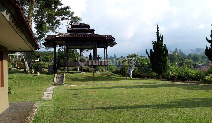 VILLA VIEW GUNUNG DI SAMPING LEMBAH KOLAM RENANG TANAH SUPER LUAS DAN TERAWAT LOKASI SUPER STRATEGIS DEKAT TAMAN BUNGA, GOA MARIA, DAN AREA MAKANAN Rumah SHM Bagus tersedia gazeb puncak Bogor 1