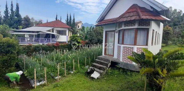 Dijual Tanah Bonus Rumah Villa Istana Bunga 2