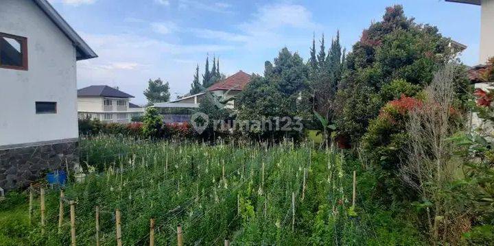 Dijual Tanah Bonus Rumah Villa Istana Bunga 1