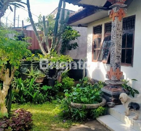 For Rent House on Goa Gong Road South Kuta Near Airport Access 2