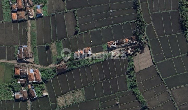 EN: For Sale, Land at Gg Batu Ngonjol, Sukawati – Flood-Free. EN: For Sale, Land at Gg Batu Ngonjol, Sukawati – Flood-Free.