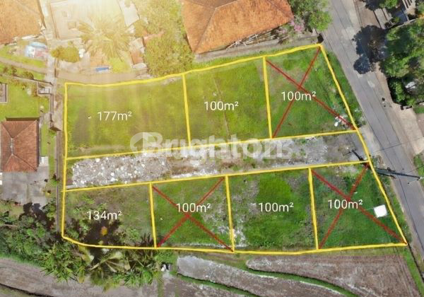 Land for Sale in Banjar Bongan, Tabanan, Java, Flood-Free