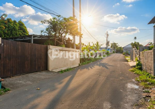 For Rent Shop House on Jalan Bina Kesuma, North Denpasar, Ready to Occupy 2