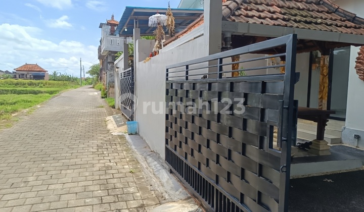 For Rent 2 Bedroom House in Baha Mengwi Village For Rent 2 Bedroom House in Baha Mengwi Village