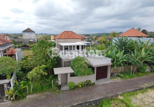 For Rent: Baraong Cengkok Street House in Mengwi, Bonus Canopy 2