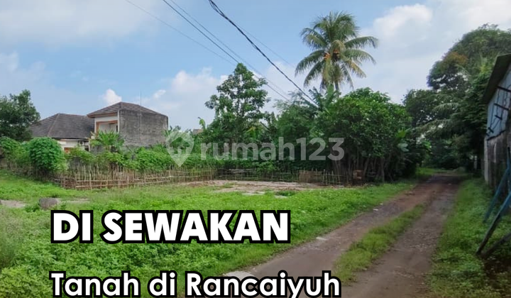 Di Sewakan !!! Tanah di Rancaiyuh Panongan Tangerang Luas Tanah +- 1470M² Di Sewakan !!! Tanah di Rancaiyuh Panongan Tangerang Luas Tanah +- 1470M²