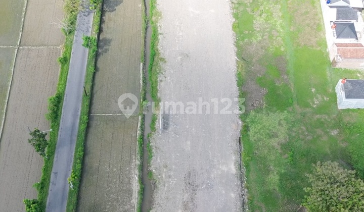 Cemara Regency Trunuh Dekat Rsjd Wedi dan Sman 2 Klaten Cemara Regency Trunuh Dekat Rsjd Wedi dan Sman 2 Klaten