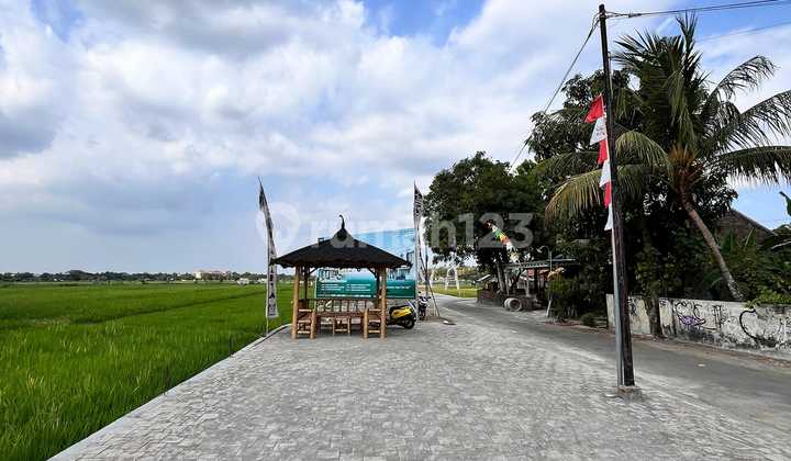 Cemara Land Danguran Dekat Kampus Poltekkeses Klaten, Rsjd Wedi Cemara Land Danguran Dekat Kampus Poltekkeses Klaten, Rsjd Wedi
