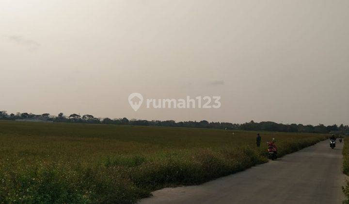 DIJUAL TANAH SAWAH DI MEKAR BARU TANGERANG 2