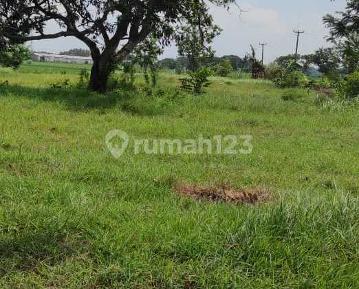 DIJUAL CEPAT TANAH DARAT DI KARAWANG DIJUAL CEPAT TANAH DARAT DI KARAWANG