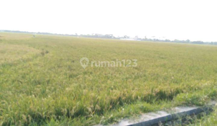 DIJUAL TANAH SAWAH DI MEKAR BARU TANGERANG 1