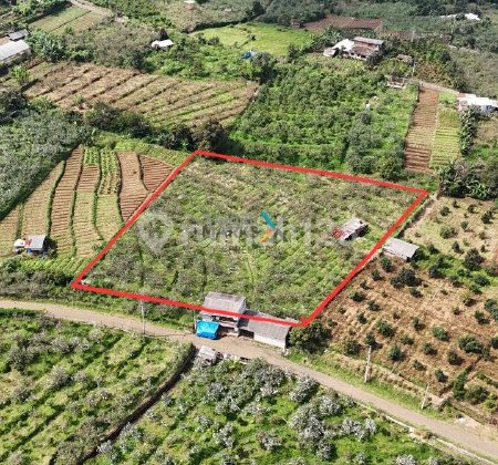 Land, Plantation Land in Selecta, Tulungrejo, Bumiaji, Batu.