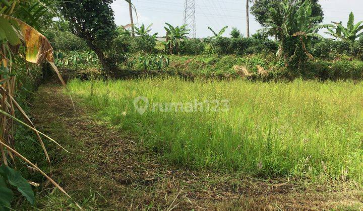 Dijual Cepat Tanah Sawah di Tegalgondo, Karangploso, Malang 3