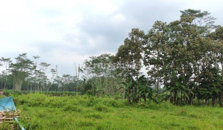 Dijual Tanah Strategis di Pinggir Jalan Poros, Bululawang Malang 2