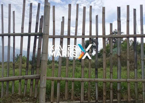 Dijual Lahan Tanah Kebun Jeruk di Karangwidoro, Dau Malang 7