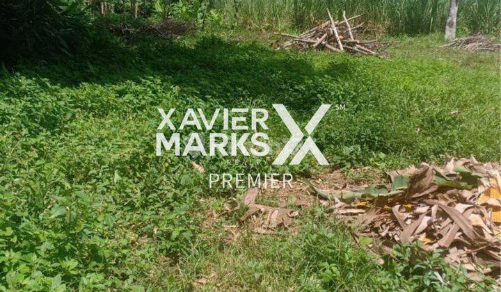 Dijual Tanah Murah Siap Bangun di Sumberkradenan, Pakis Malang 3