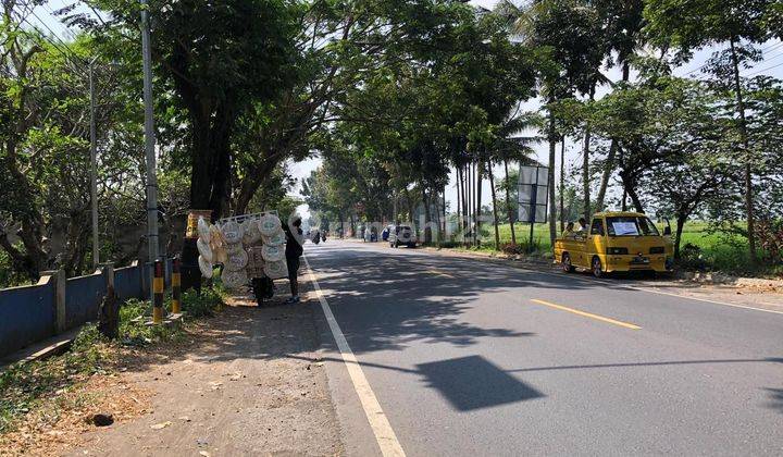 Dijual Tanah Strategis di Poros Jalan Pakisaji, Kepanjen Malang 4