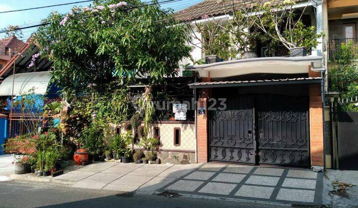 Rumah + Kos Lokasi Strategis di Jl. Bunga Bunga, Lowokwaru Malang 1