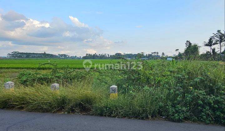 Tanah Siap Bangun di Jalan Embong Turi, Pakisaji, Malang 1