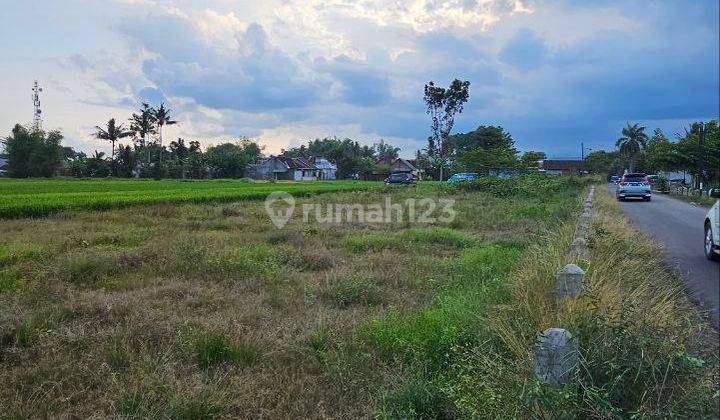 Tanah Siap Bangun di Jalan Embong Turi, Pakisaji, Malang 2