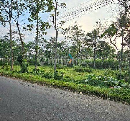 Tanah Siap Bangun di Gunung Jati Jabung, Singosari Kab. Malang 1